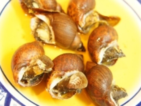 お酒がすすまぬわけがない バイ貝の醤油酒蒸し レシピ 作り方 By 酔いどれんぬ 楽天レシピ お酒がすすまぬわけがない バイ貝の醤油酒蒸し レシピ 作り方 By 酔いどれんぬ 楽天レシピ